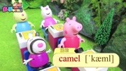 多乐学英语 第5集 骆驼 Camel原创高清正版视频在线观看–爱奇艺