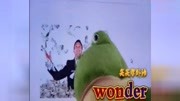 wonder原创完整版视频在线观看爱奇艺