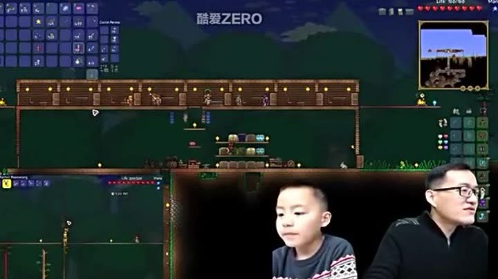 泰拉瑞亚123双枪灭眼 terraria酷爱zero