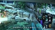 世界最大人造水族馆之一上海海洋水族馆旅游完整版视频在线观看爱奇艺