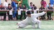 2004年全国传统武术交流大会 男子项目 070 武当断魂掌 李元达体育完整版视频在线观看爱奇艺