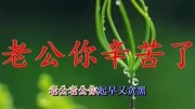 一首《老公你辛苦了》送给亲爱的老公!祝一生平安幸福健康快乐!