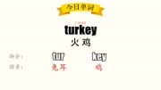 超级记忆之单词记忆turkey火鸡知识名师课堂爱奇艺