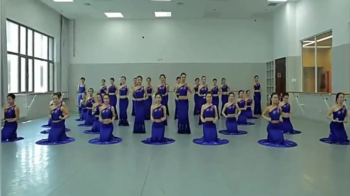                    傣族舞基本手