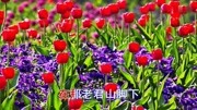 一曲《花舞人间》好听至极!分享给大家音乐背景音乐视频音乐爱奇艺