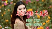 门丽新歌《美的不要不要的》轻快好听!原创完整版视频在线观看爱奇艺