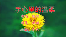 手心的温柔曲谱_手心的蔷薇曲谱