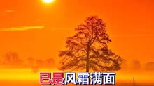 歌曲浪漫夕阳简谱_日本歌曲夕阳西沉简谱(2)