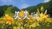 520情人节,一首动感好听的DJ舞曲《美美哒》送给大家!音乐背景音乐视频音乐爱奇艺