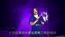 陈瑞藕断丝连简谱_新白狐简谱陈瑞