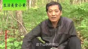 靠山吃山!他采野生木耳卖三百一斤,一年收入三十多万生活完整版视频在线观看爱奇艺