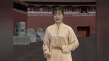 吴阿敏-24式太极拳分解教学
