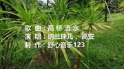 2019最火网络流行歌曲,《花桥流水》旋律优美,真的太好听了!音乐背景音乐视频音乐爱奇艺