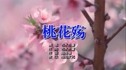 若水兰馨  桃花殇MTV音乐背景音乐视频音乐爱奇艺