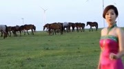 这首《歌在飞》又火了!被无数人设为手机铃声,一遍就听醉了音乐背景音乐视频音乐爱奇艺