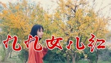 曲谱歌曲九九女儿红