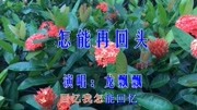 龙飘飘一首《怎能再回头》经典老歌,旋律动听,好听至极!音乐背景音乐视频音乐爱奇艺