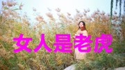 一首《女人是老虎》声音很舒服,好听感人音乐背景音乐视频音乐爱奇艺