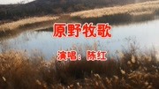 陈红一首《原野牧歌》经典老歌,旋律优美抒情,百听不腻!音乐背景音乐视频音乐爱奇艺