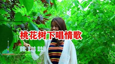 男女对唱一首桃花树下唱情歌相亲相爱一起走好听醉了