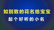 起名—如何用别致的花名给宝宝起小名原创完整版视频在线观看爱奇艺