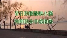 杨小壮简谱_孤芳自赏杨小壮简谱(2)