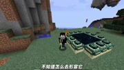 阿阳精分了mod:射穿末影龙的终极武器?阿阳拿起这把武器后膨游戏完整版视频在线观看爱奇艺