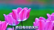 一首经典歌曲《美好的祝福》音乐背景音乐视频音乐爱奇艺