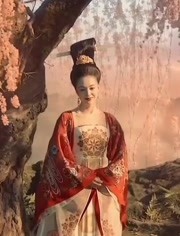 【妖猫传/张榕容】杨贵妃——大唐风流