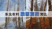 Vlog05 实拍东北雪融化前后对比,实在太美了宛如风景大片生活完整版视频在线观看爱奇艺