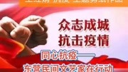 抗击疫情——东营民间文艺家在行动:王红娟“抗疫”主题剪纸作品原创完整版视频在线观看爱奇艺