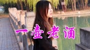 一曲民谣《一壶老酒》唱得豪迈大气,一开口就被震惊了!音乐背景音乐视频音乐爱奇艺