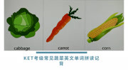 KET考级常见蔬菜英文单词拼读记背知识名师课堂爱奇艺