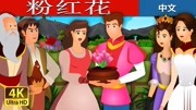 《小豆包讲故事》之《粉红花》儿童动画片大全儿童教育爱奇艺