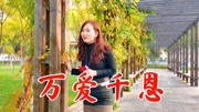 一首经典感恩歌曲《万爱千恩》超好听,感动了天下多少孝顺的儿女音乐背景音乐视频音乐爱奇艺