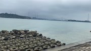 东海岸海浪汹涌,差点淹没游客?真是把我吓坏了!资讯完整版视频在线观看爱奇艺