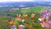 甘村没有一户人是姓甘的,但居然有一座甘姓开族山叫伏地虎旅游完整版视频在线观看爱奇艺