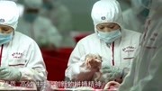 双汇双汇开创中国肉类品牌财经完整版视频在线观看爱奇艺