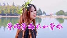 等风等雨不如等你简谱_等风等雨我等你简谱