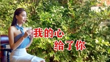 pv_15473435900_d_601_220_124.jpg