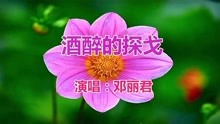 邓丽君酒醉的探戈简谱_爱人 邓丽君主唱歌曲 搜狗百科(2)