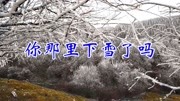 女歌手一首《你那里下雪了吗》句句深情,声声感人,百听不厌!音乐背景音乐视频音乐爱奇艺