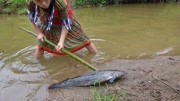 荒野生存:荒野美女河边钓大鱼和煮鱼吃的真香啊!生活完整版视频在线观看爱奇艺