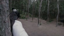短剧唐小柔的魅力与深度解读，唐小柔，魅力与深度的短剧解读