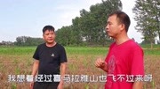 河南农村突发怪事,八亩玉米地一夜之间被虫吃,难道是印度蝗虫?生活完整版视频在线观看爱奇艺