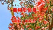 黄晓君一首《一曲相思情难了》曲风柔情,句句动听,百听不厌!音乐背景音乐视频音乐爱奇艺