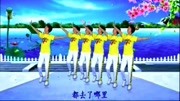 经典广场舞《情人雨》好听好看又好学!音乐背景音乐视频音乐爱奇艺