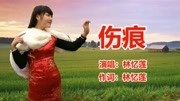 林忆莲《伤痕》流行歌曲网络歌音乐背景音乐视频音乐爱奇艺