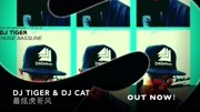 【Siger厂官方MV】DJ Tiger & DJ Cat《最炫虎哥风》 Siger厂官方MV(自制)音乐背景音乐视频音乐爱奇艺