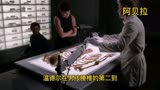 识骨寻踪【267】
